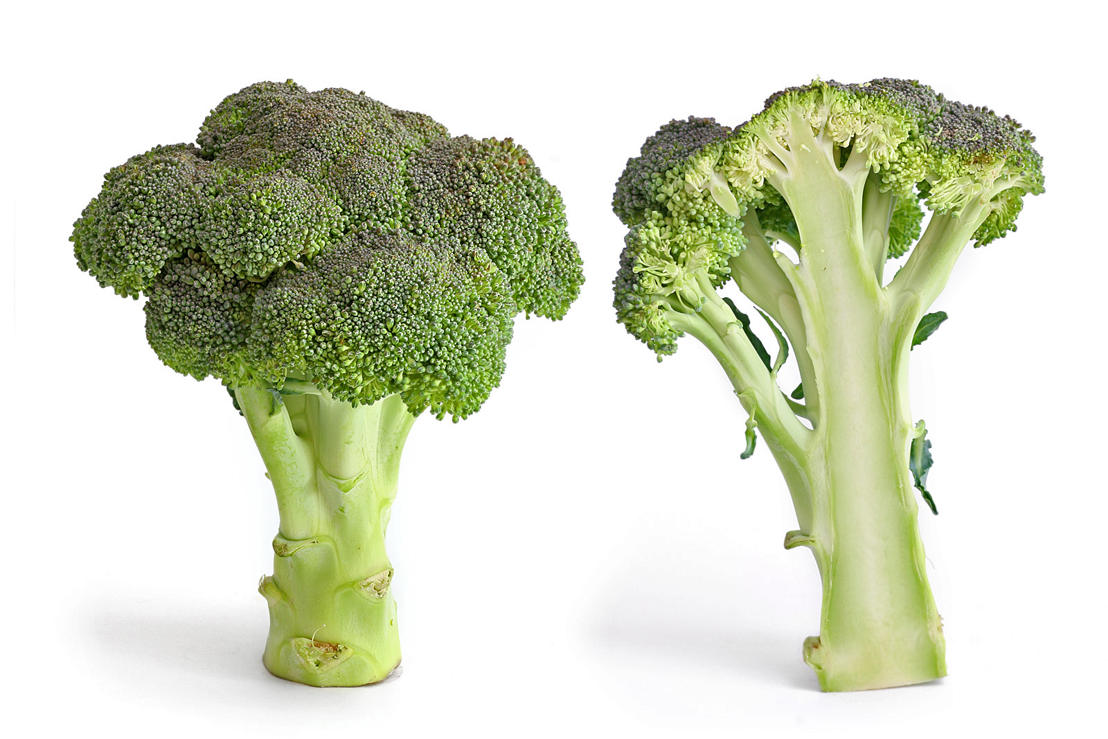 Broccolis